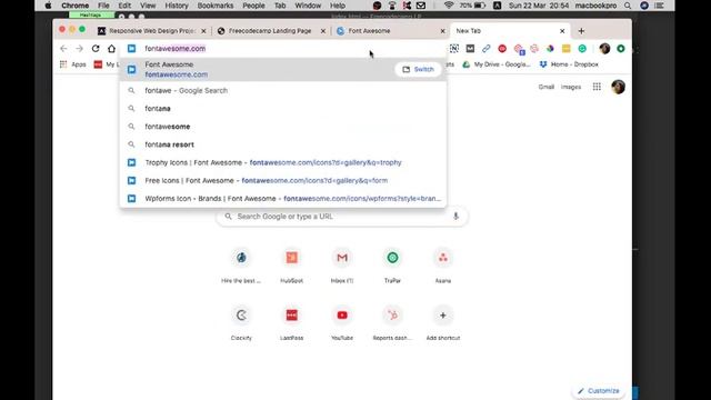 Build a Product Landing Page (freeCodeCamp) [2020] смотреть онлайн