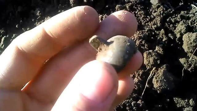 Прогулка лесом с МД №41 смотреть онлайн