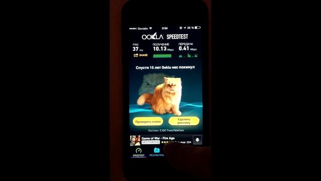 SpeedTest Cat смотреть онлайн