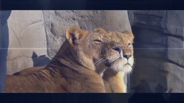 ★Уникальный ПРЕПАРАТ ДЛЯ КРАСИВОГО ЛИЦА за копейки!