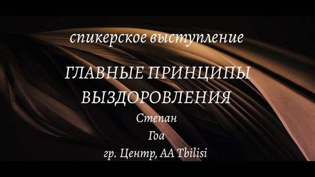 Спикерское ГЛАВНЫЕ ПРИНЦИПЫ ВЫЗДОРОВЛЕНИЯ. Степан, ГОА смотреть онлайн