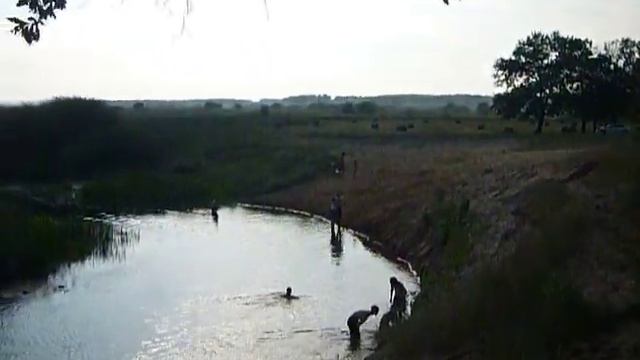 В элитном месте ,,ДУБКИ, на речке Савала.в шаговой доступности ,рядом с славным городом Новохопёрск смотреть онлайн