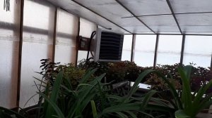 Канал "Анна Пирматова". Так о чём же он?