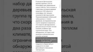 Странная реакция деревьев на изменения климата. Деревья выделяют обратно углекислый газ в атмосферу.