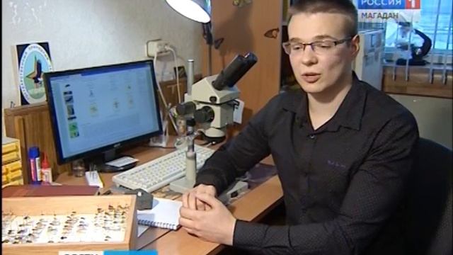 Магаданский энтомолог Николай Тридрих надеется, что обнаружил пять новых видов насекомых смотреть онлайн
