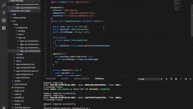 Angular 5 Login and Logout with NGRX - signup view update handler error part1 смотреть онлайн