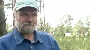 Мастер-класс. Прививка кедра