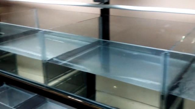 Стеллаж с аквариумами на заказ по индивидуальным размерам смотреть онлайн