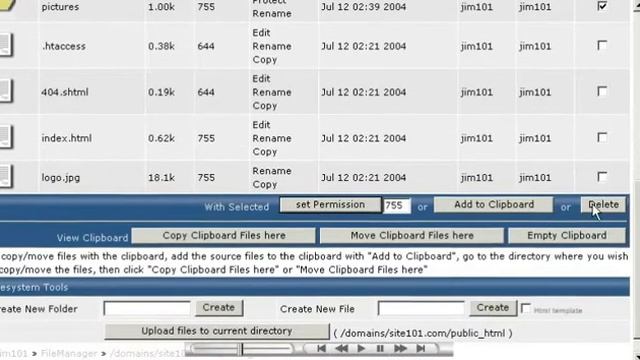 Using File Manager in DirectAdmin смотреть онлайн