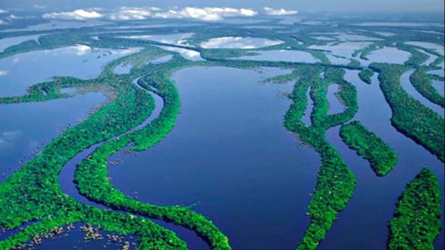 Окружающий мир. Рабочая тетрадь 4 класс 1 часть. ГДЗ стр. 12 №4 смотреть онлайн