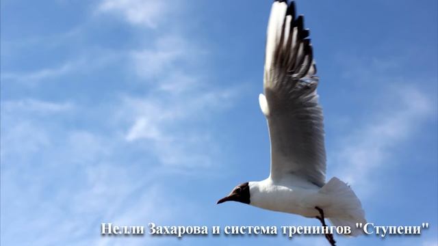 Медитация на очищение и гармонизацию чакр. смотреть онлайн