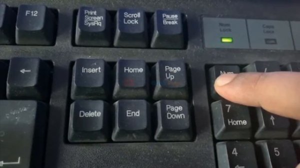 Windows 11 Number Keys not Working Fix