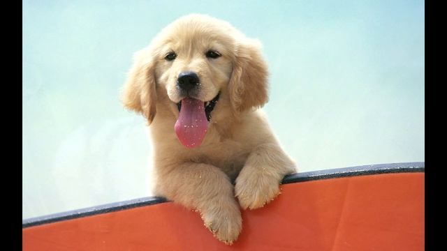 Модные тренды сезона