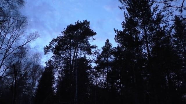 Что необходимо для похода. смотреть онлайн