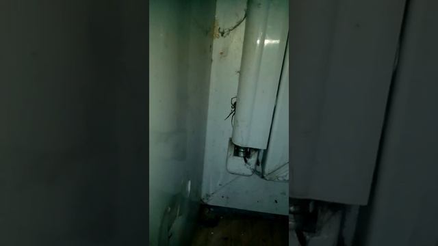 Ядовитый паук в моей квартире!!!! смотреть онлайн