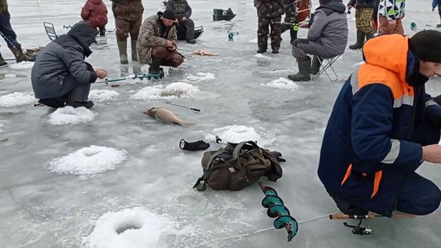 Калач на Дону 2021 смотреть онлайн