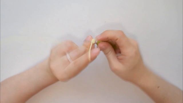 Pompompurin Amigurumi Tutorial | Hello Kitty And Friends | Amis Tejiendo Momentos ENG/SPA Subs