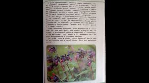 Читаем детям ЗЕЛЁНЫЕ СТРАНИЦЫ. А.А.Плешаков. Страница вторая. ДАРЯЩАЯ МЁД (МЕДУНИЦА).