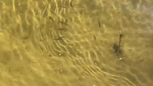 Тарасовский район, Ростовская область смотреть онлайн