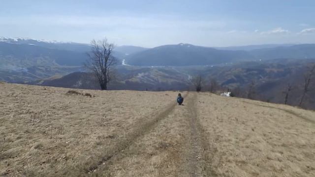 Колочава. Г. Дарвайка. Медвежий приют. Оз. Синевир смотреть онлайн