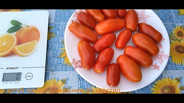 Обзор томата "Пальчики Мальвины" смотреть онлайн