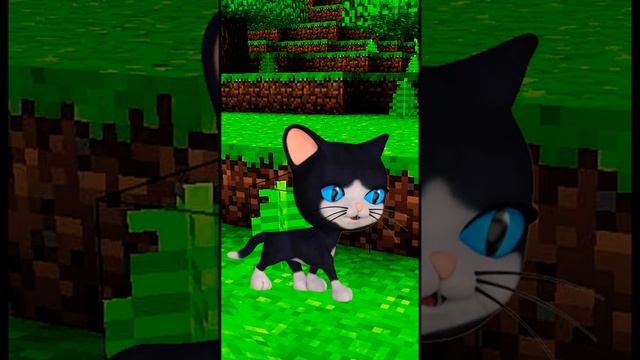 ОМГ КОТЕНОК ***Мяу*** в Майнкрафт / Тархун про Minecraft #shorts смотреть онлайн