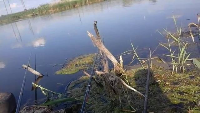 Ловля карася с лодки , июль 2016 смотреть онлайн