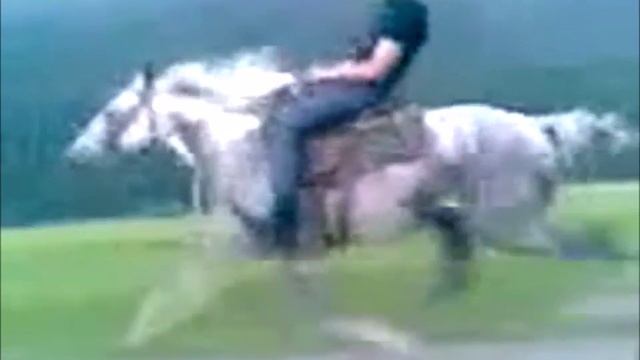 самый быстрый конь в мире 200 км/ч (Глухих) смотреть онлайн