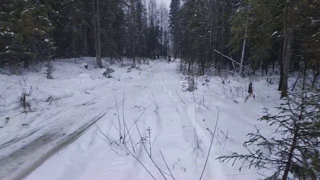 Тест по неровной дороге.