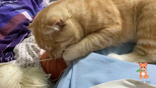 Скоро бесплатный МК☀️ смотреть онлайн