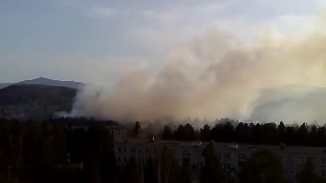 22 апреля пожар в лесном массиве Трехгорный смотреть онлайн