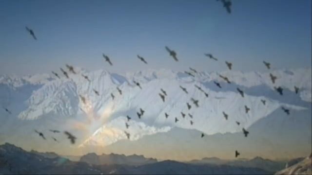 The Flight of the Eagle music by Ennio Morricone смотреть онлайн