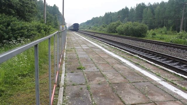 Едет в обход. Разъезд 241 км, поезд Псков - Москва смотреть онлайн