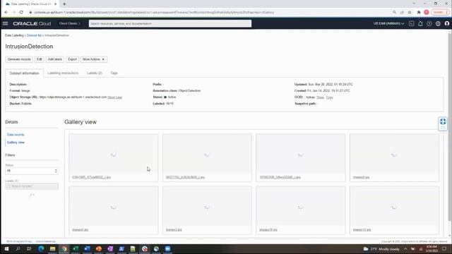 Introducing OCI Data Labeling смотреть онлайн