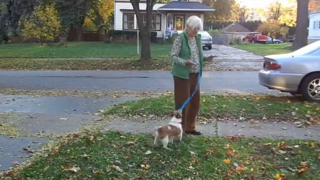 Please clean up смотреть онлайн