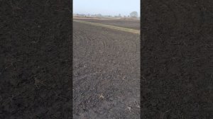 Посев люцерны и ячменя самодельной сеялкой на 2 бункера.