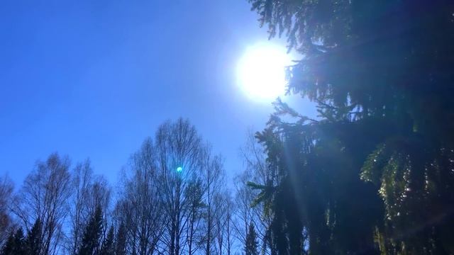 25 апреля Радоница. Что нельзя делать на Радоницу 25 апреля. Народные традиции и приметы и суеверия смотреть онлайн