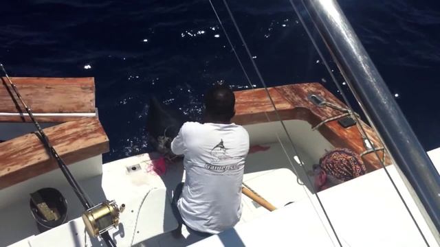 How to Catch a Blue Marlin ...the Hard Way! смотреть онлайн
