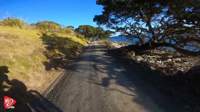 Bu sene alabileceğiniz EN "AYI" MACERA MOTORLARI! смотреть онлайн