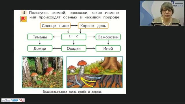 Обществоведческий и исторический компоненты содержания в курсе "Окружающий мир". Анализ смотреть онлайн