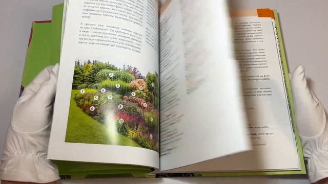 Цветники. 95 простых композиций для любого уголка сада смотреть онлайн