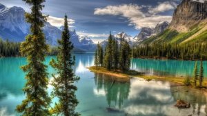 Истории из жизни Готовы были подарить дочери квартиру Жизненные истории  Аудио рассказы