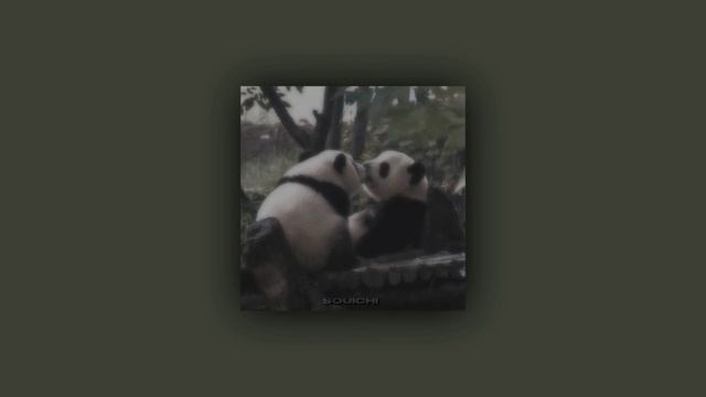 (sped up) me gustas tu - manu chao смотреть онлайн