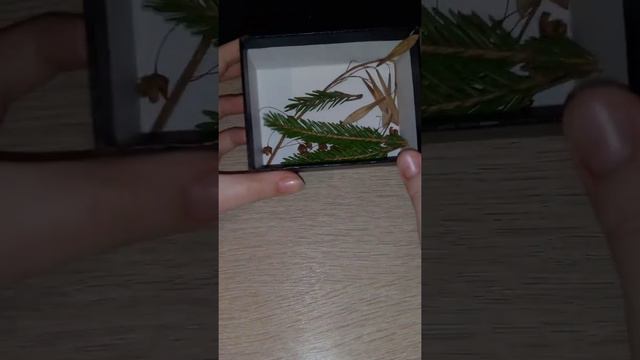 🍁Разные идеи для оформления ежедневника,планера,лд и травника🍂 смотреть онлайн