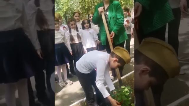 Флешмоб "Сирень Победы" смотреть онлайн