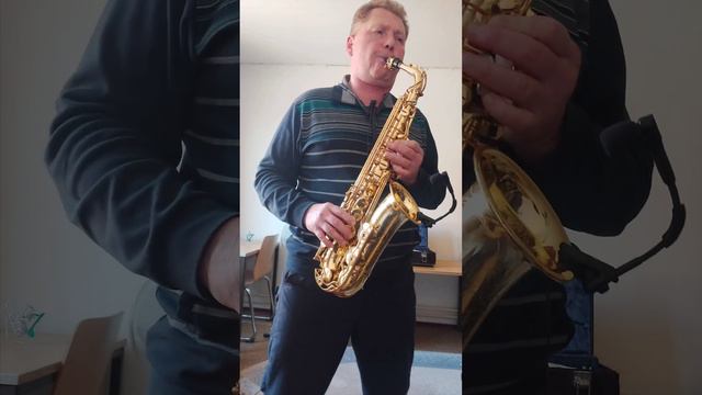 Ein langer Weg in den Dünen/A long way in the dunes/Долгая дорога в дюнах смотреть онлайн