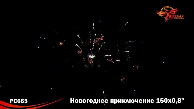 PC 665 смотреть онлайн