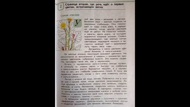 Читаем детям ЗЕЛЁНЫЕ СТРАНИЦЫ. А.А.Плешаков. Страница вторая. САМАЯ СМЕЛАЯ (МАТЬ-И-МАЧЕХА). смотреть онлайн