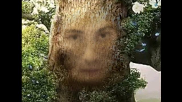 Мудрый Дуб Артём Ежов (лирическое видео) смотреть онлайн