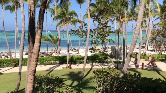Barcelo Bavaro Palace: Junior Suite Ocean Front Premium Level смотреть онлайн